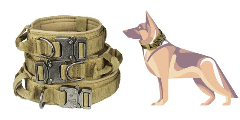 Collier Tactique Résistant pour Chien