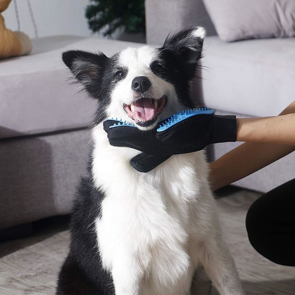 Gants de toilettage pour animaux