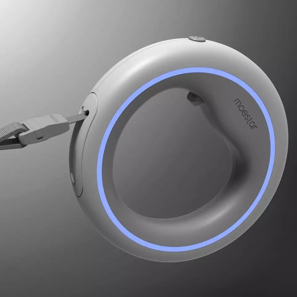 Laisse LED pour Chien - Sécurité et Style Nocturne