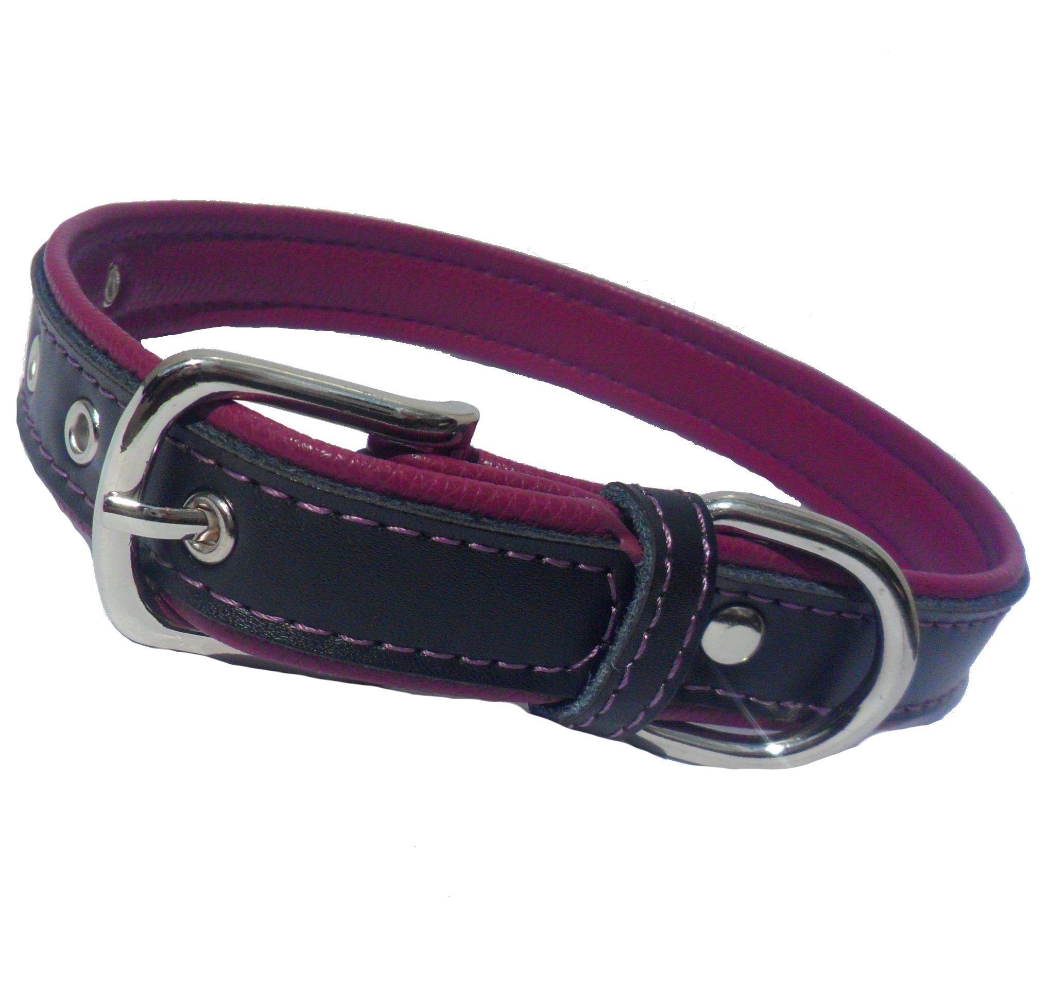 Collier pour Chien Berry