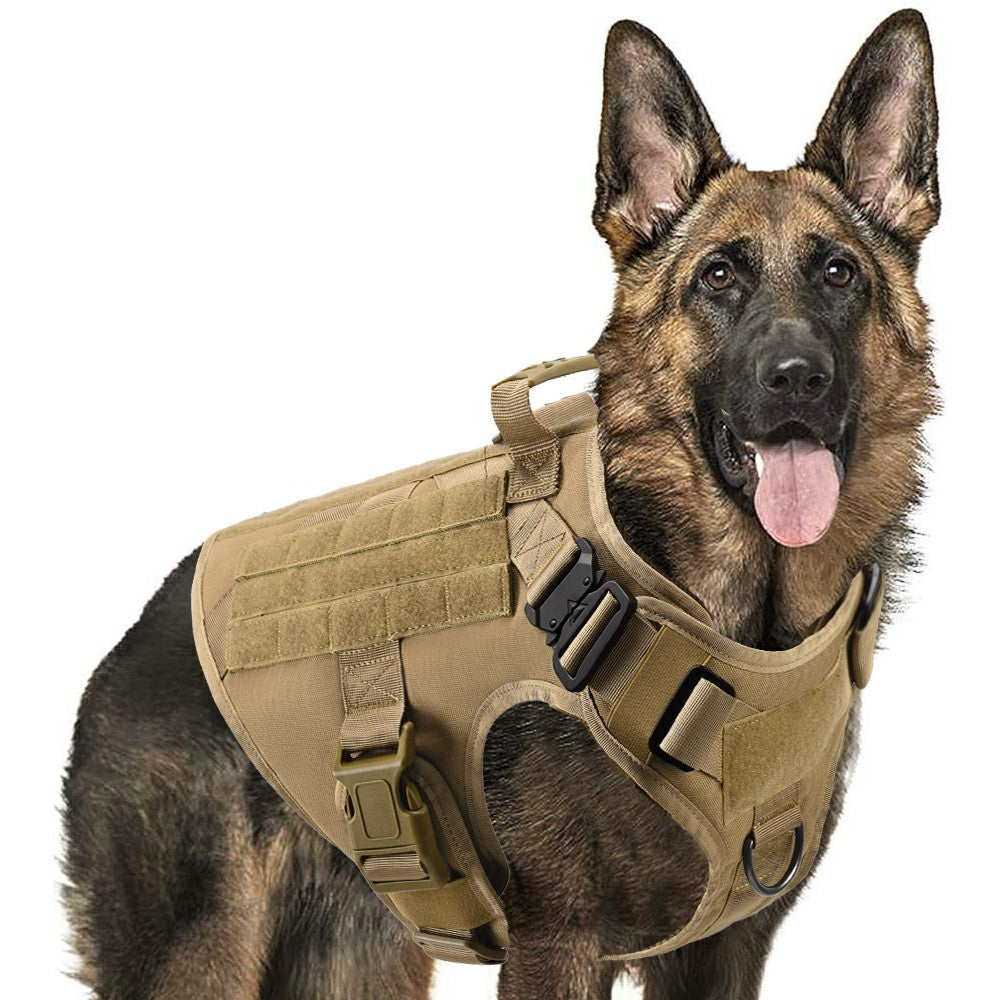 Harnais et Laisse Tactique pour Chien