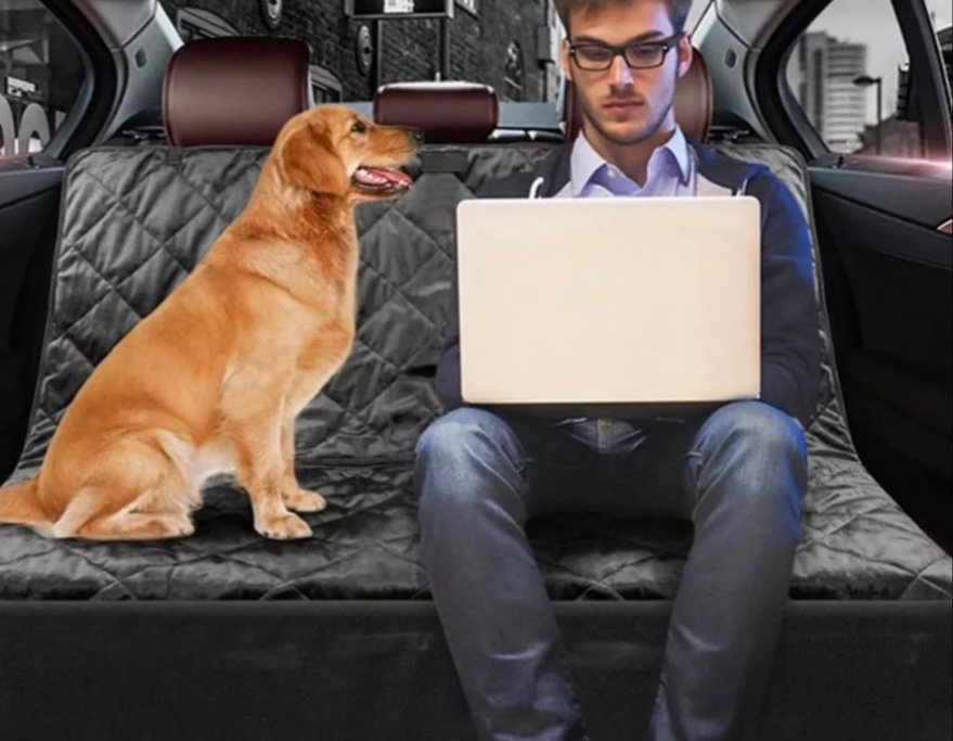 Housse de siège auto pour animaux