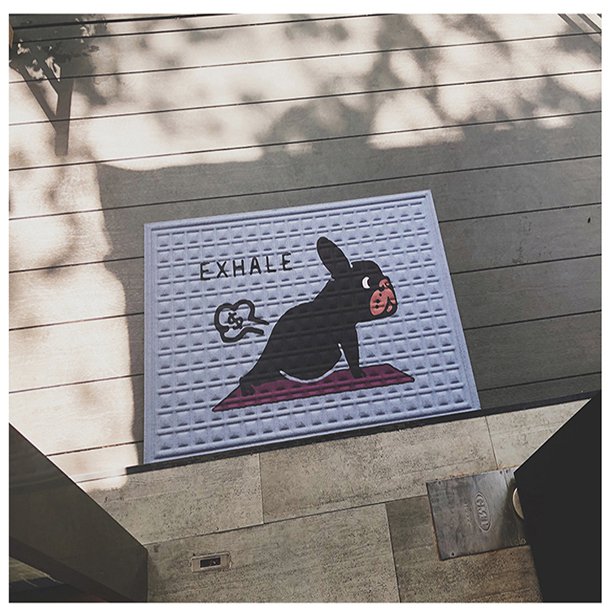 Tapis de Porte pour Chiens