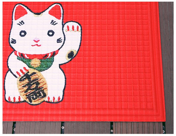 Tapis d'entrée pour chat