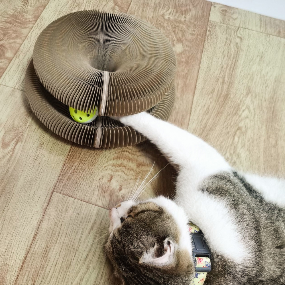 Planche à gratter en papier magique pour chats
