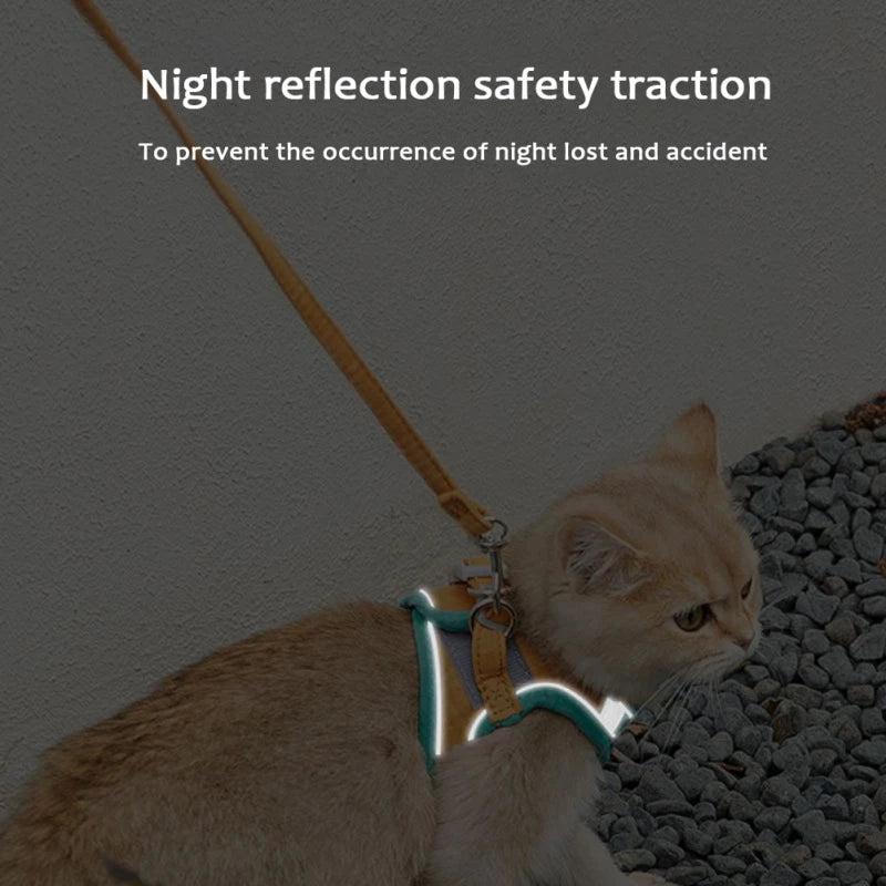 Harnais pour chat réglable avec laisse et gilet réfléchissant