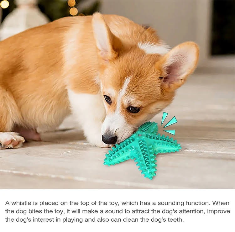 Pack de 3 jouets à mâcher et balle en corde pour chien