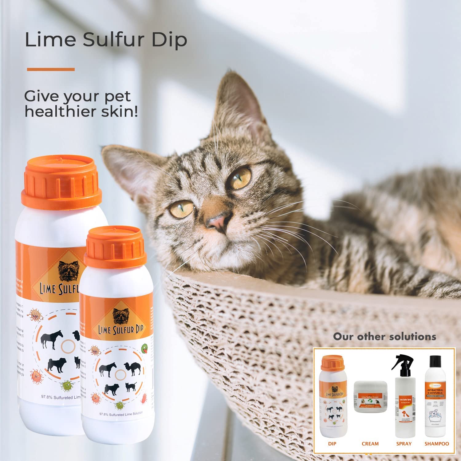 Solution Sûre Classic's Lime Sulfur Dip pour Chien, Chat et Cheval
