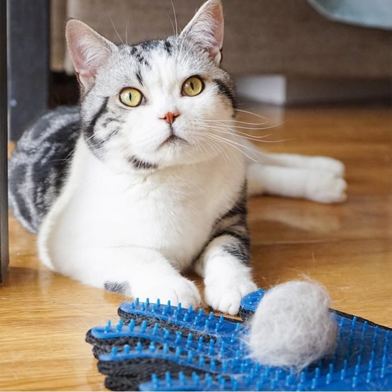 Gants de toilettage pour animaux