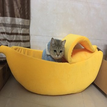 Banana Chat Maison