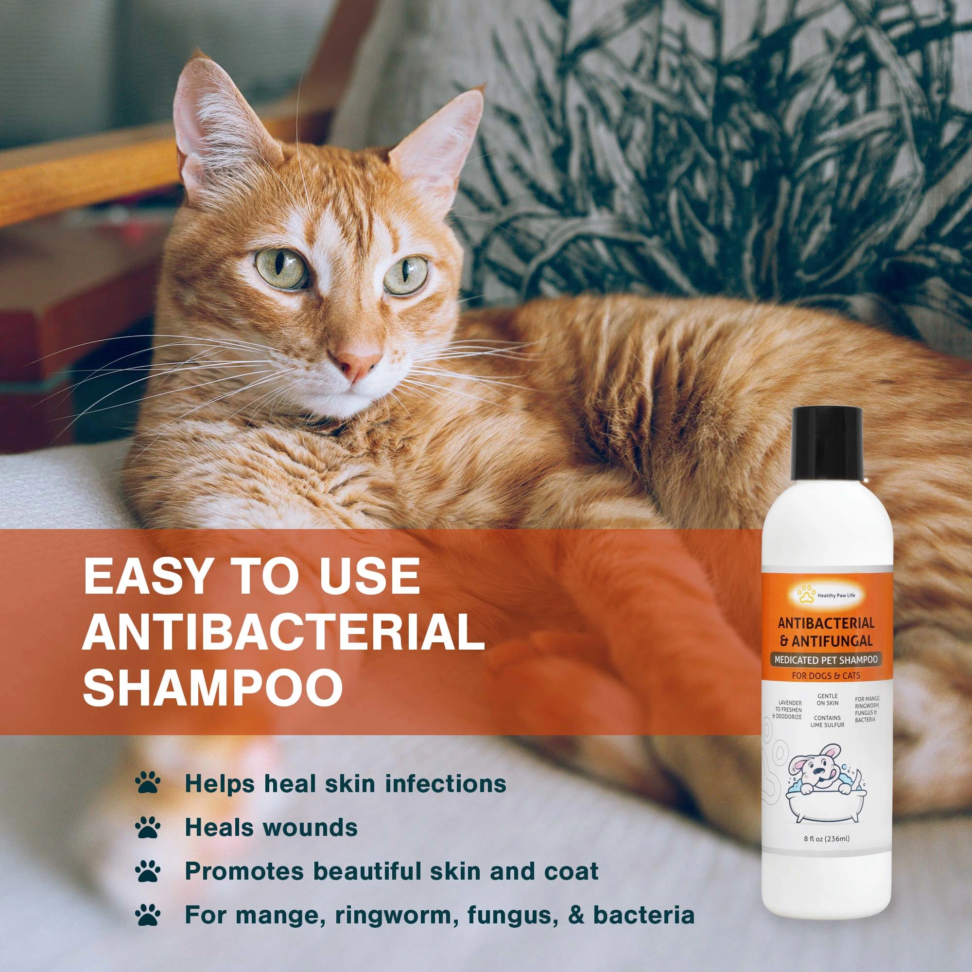 Shampooing au Soufre de Chaux pour Animaux - Soin Sécurisé