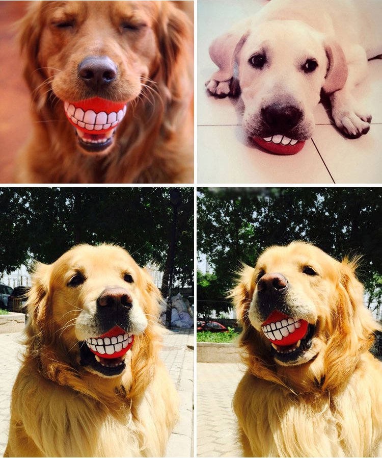 Grinz Friandise Balle