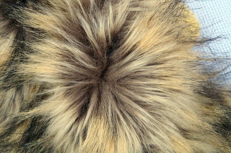 Chapeau de Lion pour Chats