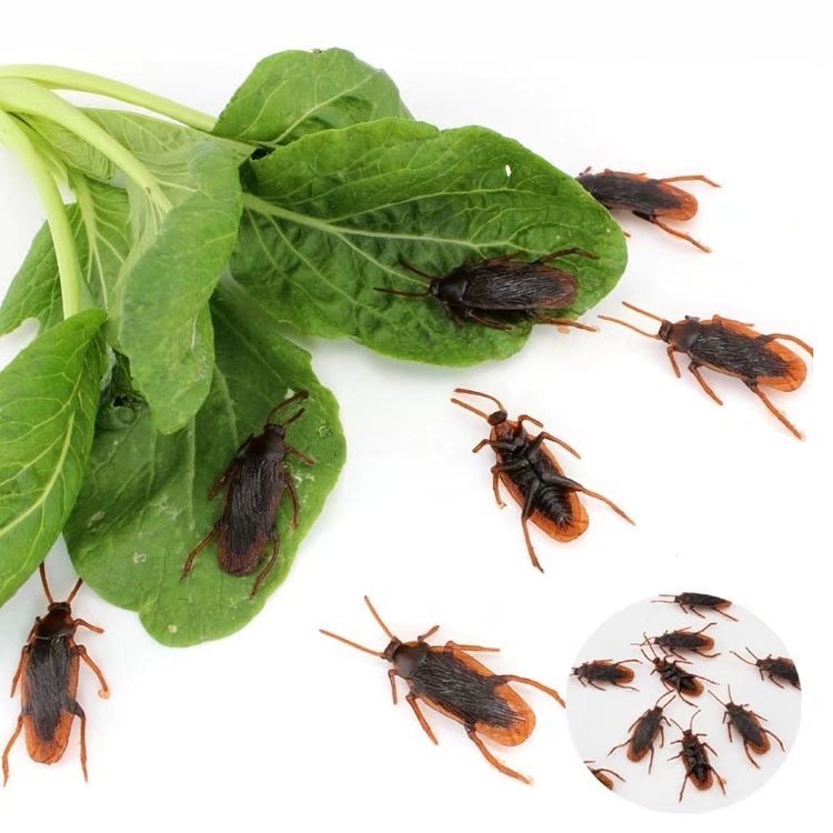 Artificial Cockroach Trick Jouet