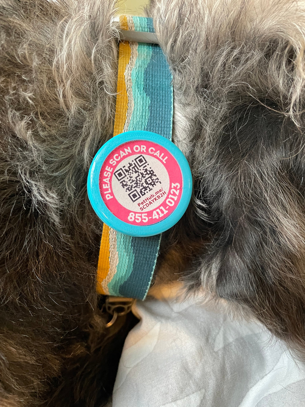 Pack de 50 médailles QR Code : Sécurisez votre animal !