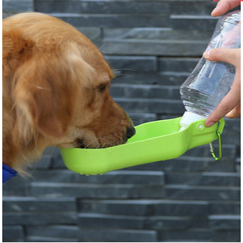 Bouteille d'Eau Extérieure pour Chiot