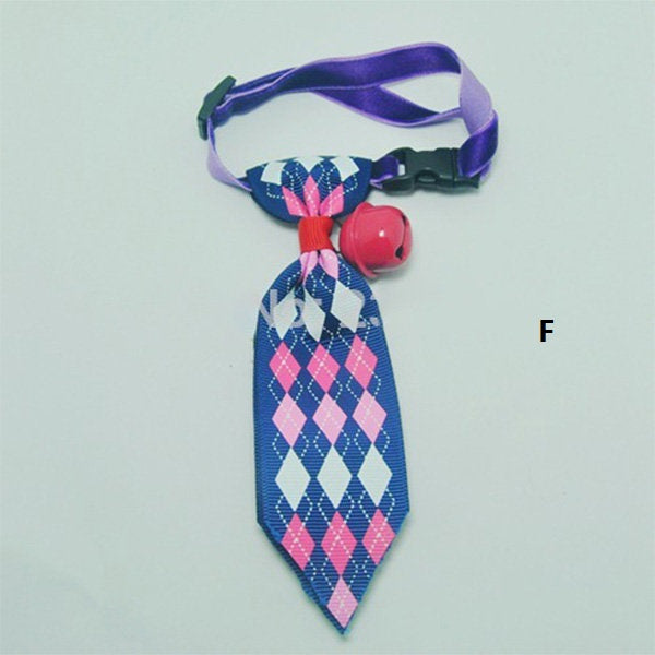 Handsome Chat Collier & Tie