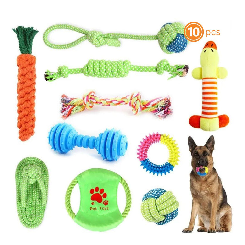 10 Jouets à mâcher résistants pour chien