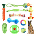 10 Jouets à mâcher résistants pour chien
