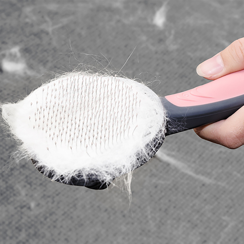Peigne de toilettage pour chat et chien