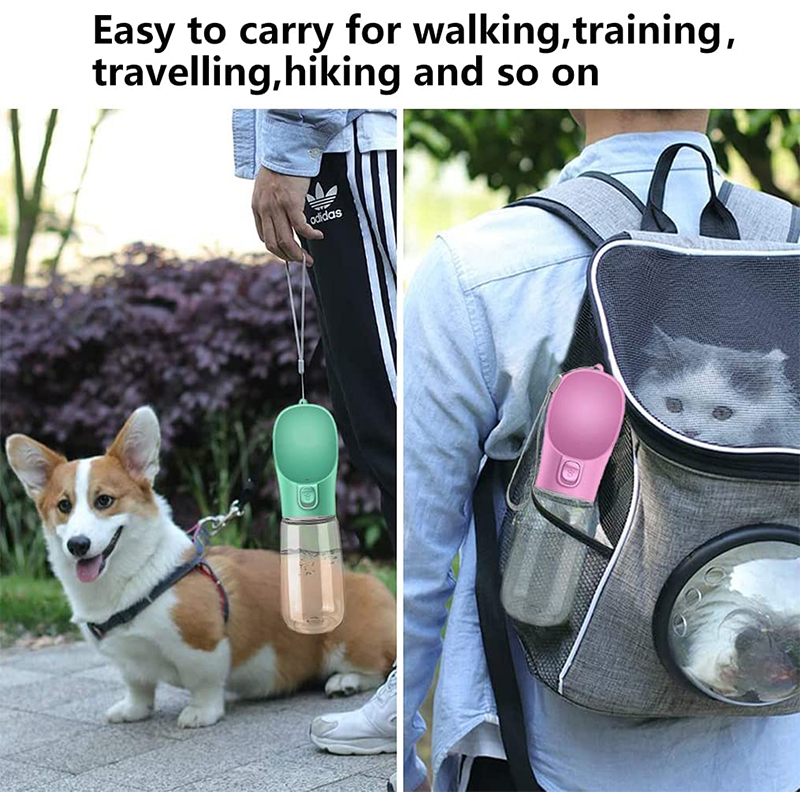 Distributeur d'eau et gamelles pour chiens et chats en extérieur