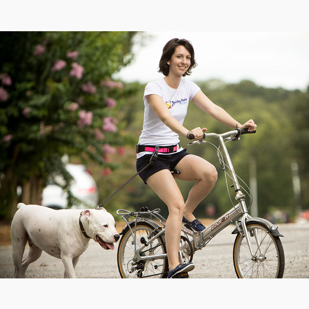 Ceinture de Laisse pour Promenade de Chien