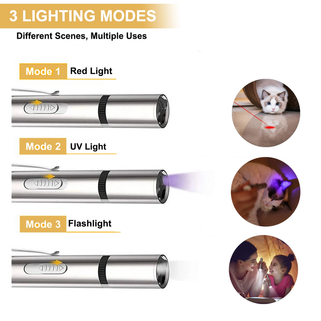 Outil d'exercice pour l'entraînement des animaux - Jouet pour chat avec pointeur LED