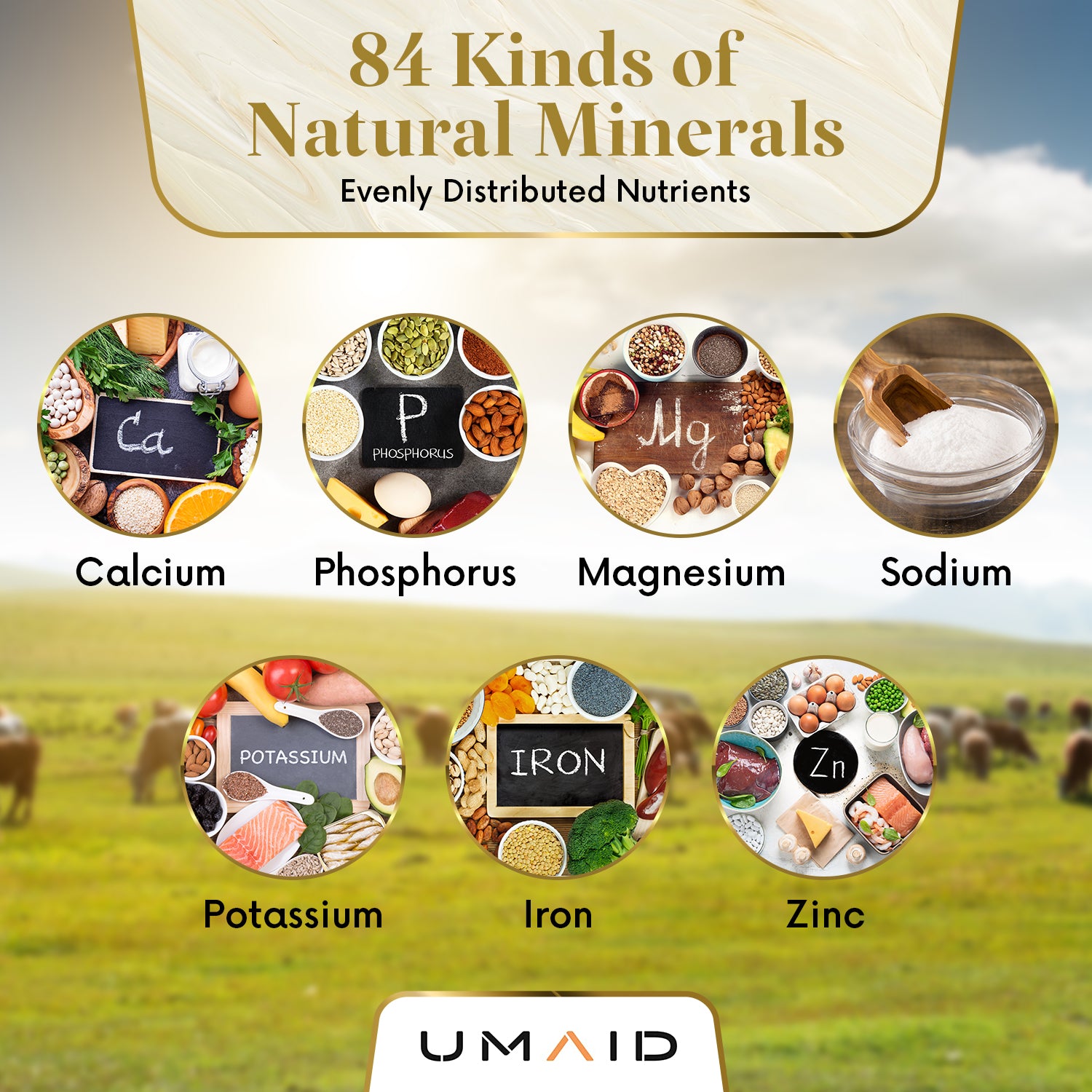 Himalayan Animal Lick Salt On Corde pour Horses, Deer, et Livestock