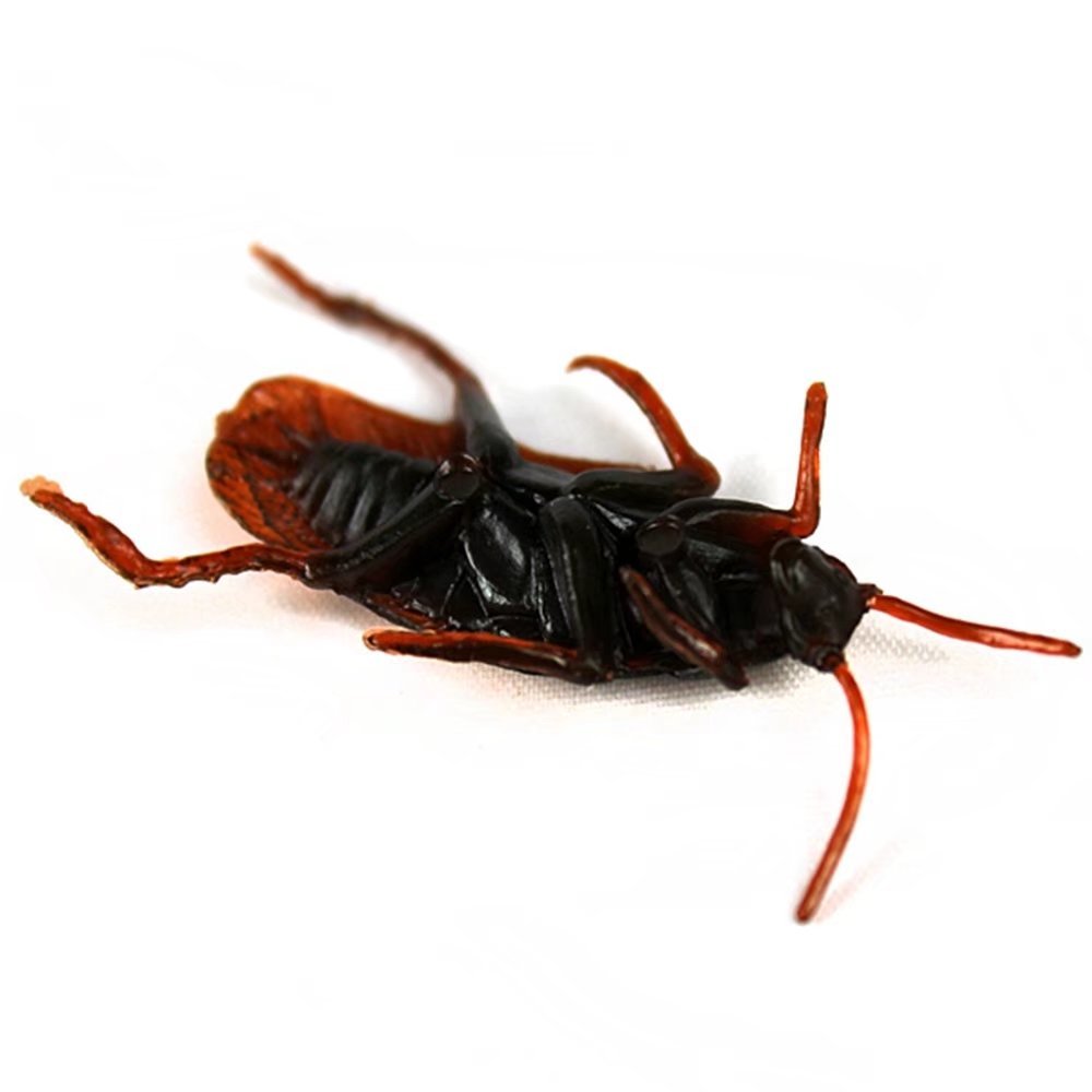 Artificial Cockroach Trick Jouet