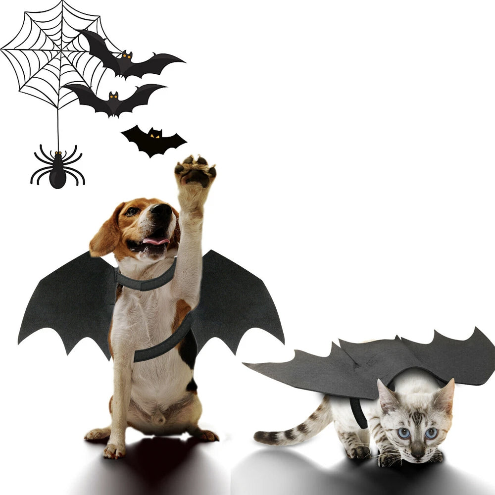 Costume de Chauve-Souris pour Chats et Chiens Halloween