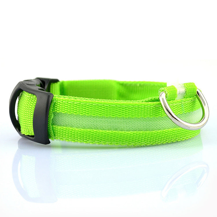 Collier pour chien à LED rechargeable par USB