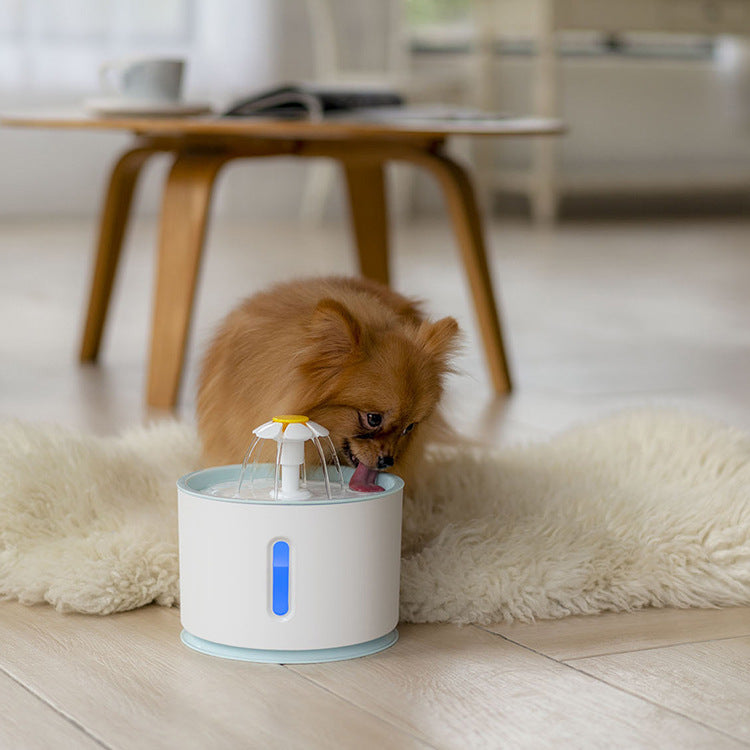 Fontaine à eau pour animaux avec réservoir remplaçable