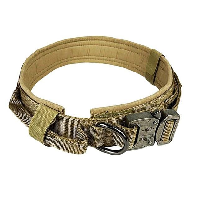 Collier Tactique Résistant pour Chien