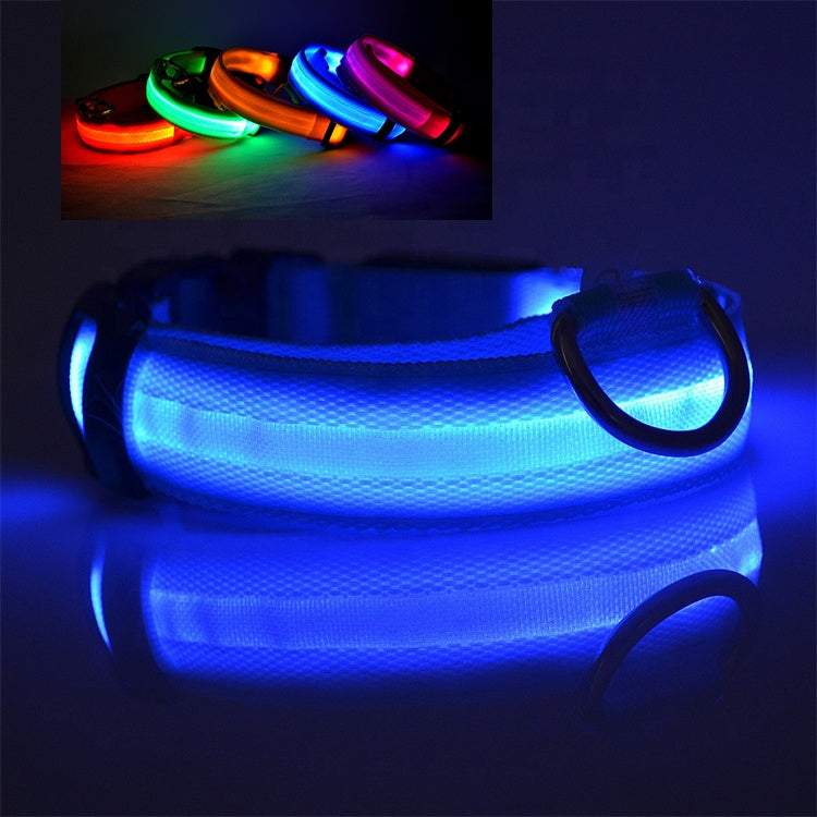 Collier pour chien à LED rechargeable par USB