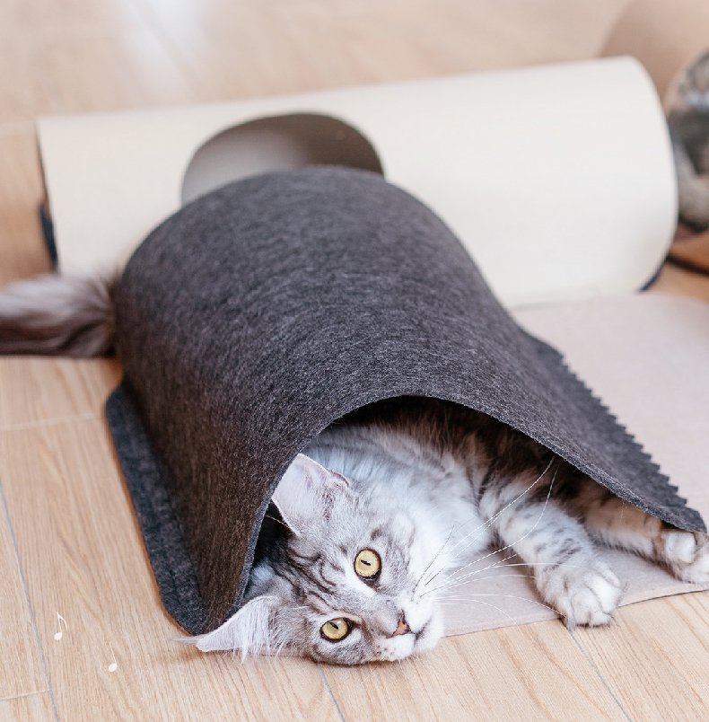Tunnels de Jeu pour Chats