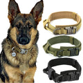 Collier Tactique Résistant pour Chien