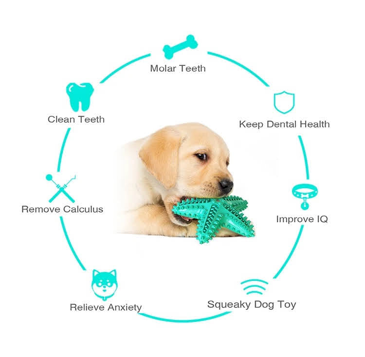 Pack de 3 jouets à mâcher et balle en corde pour chien