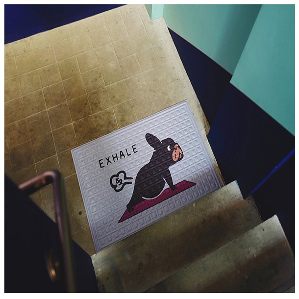 Tapis de Porte pour Chiens