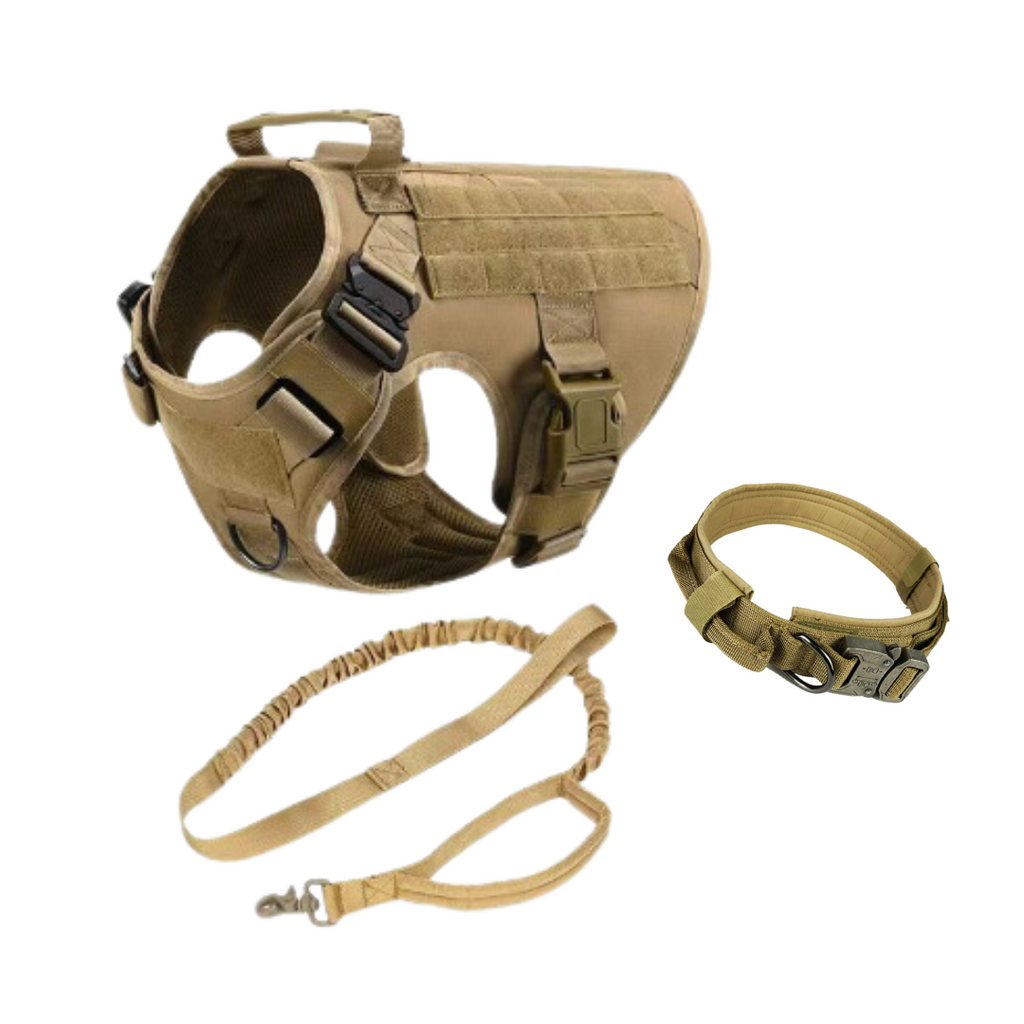Harnais Tactique pour Chien avec Collier et Laisse