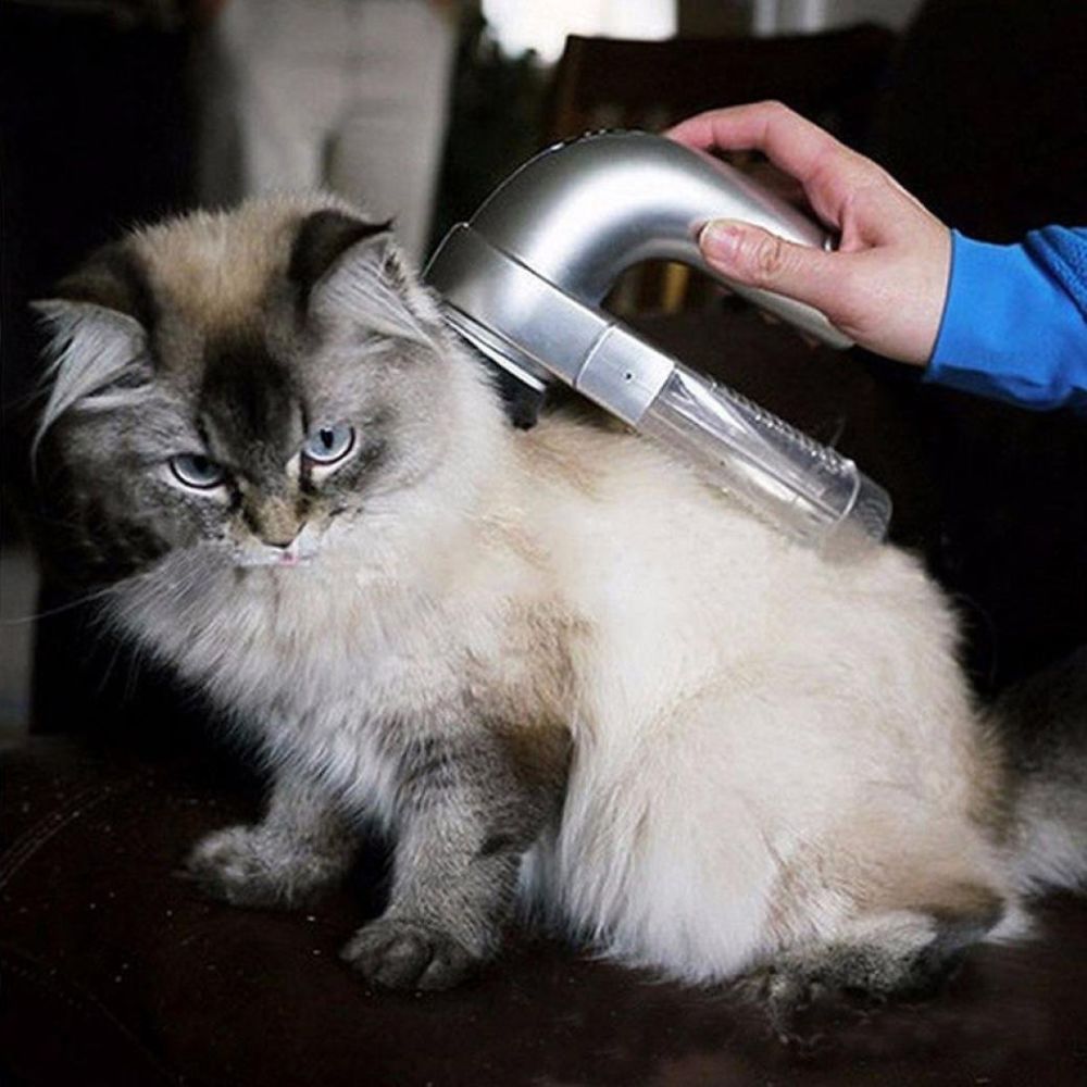 Aspirateur portable pour cheveux d'animaux
