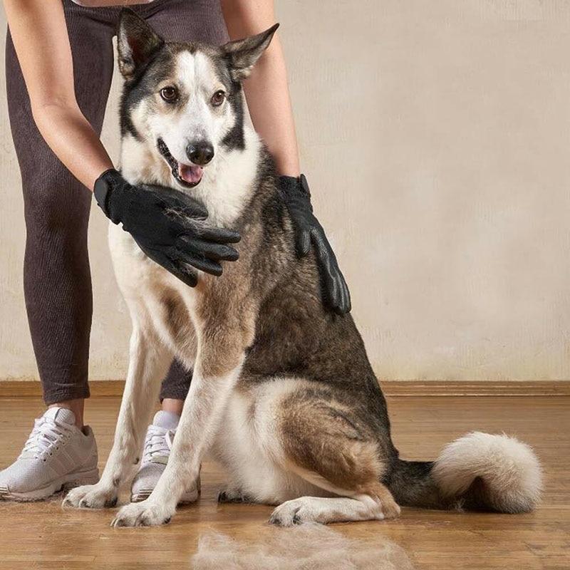 Gants de Toilettage pour Animaux