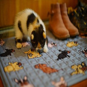 Tapis de porte Bulldog