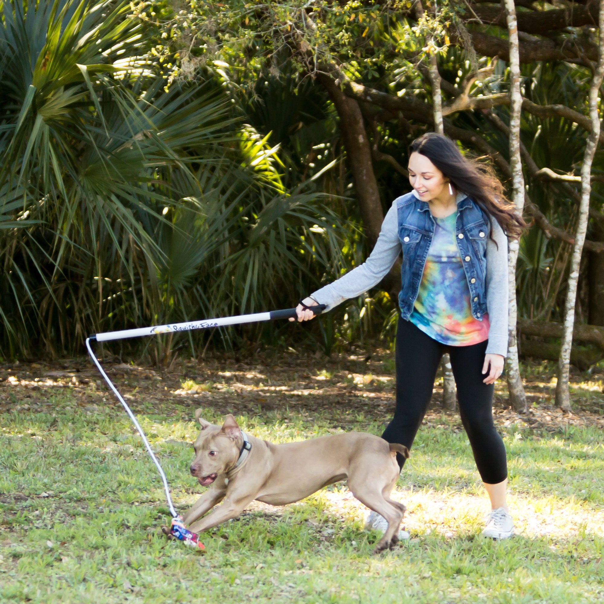 Jouet d'exercice pour chien Flirt Pole V2