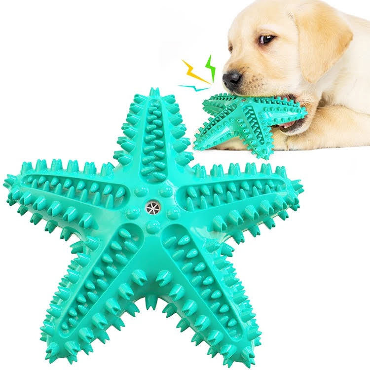 Pack de 3 jouets à mâcher et balle en corde pour chien