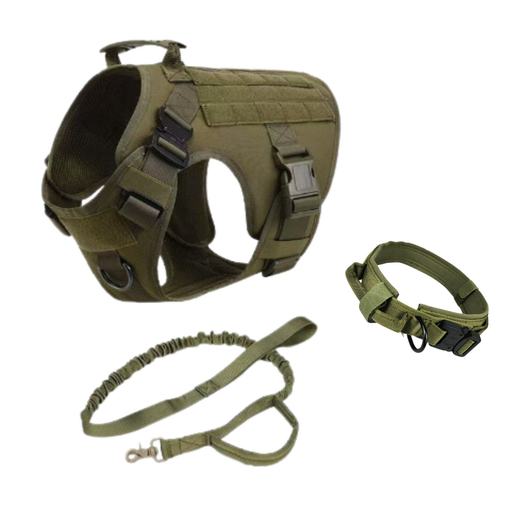 Harnais Tactique pour Chien avec Collier et Laisse