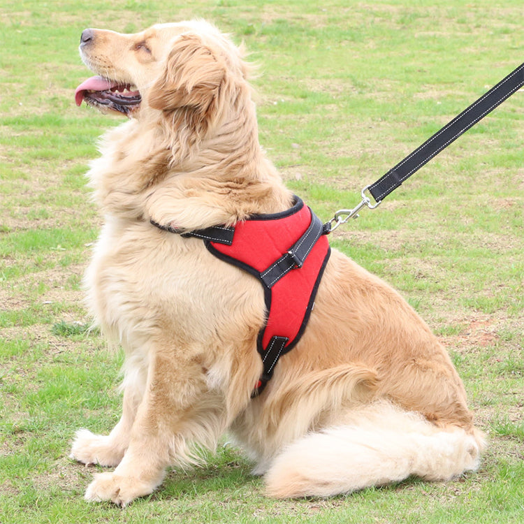 Harnais Réglable pour Chien