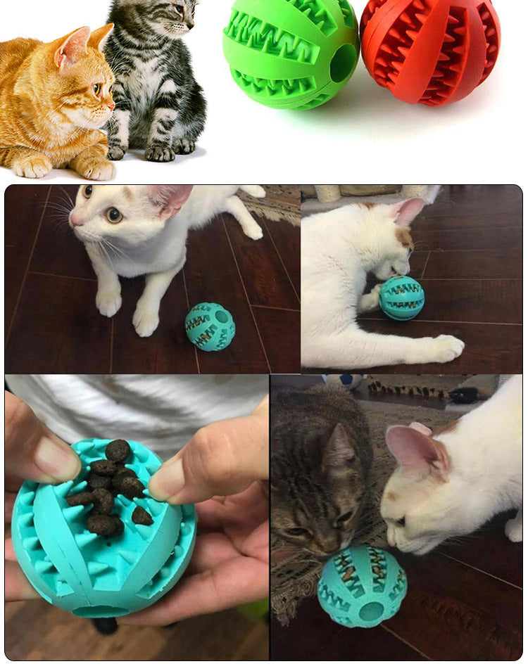 Balles distributeurs de nourriture pour chiens, chats et chiots, jouets à mâcher pour les dents