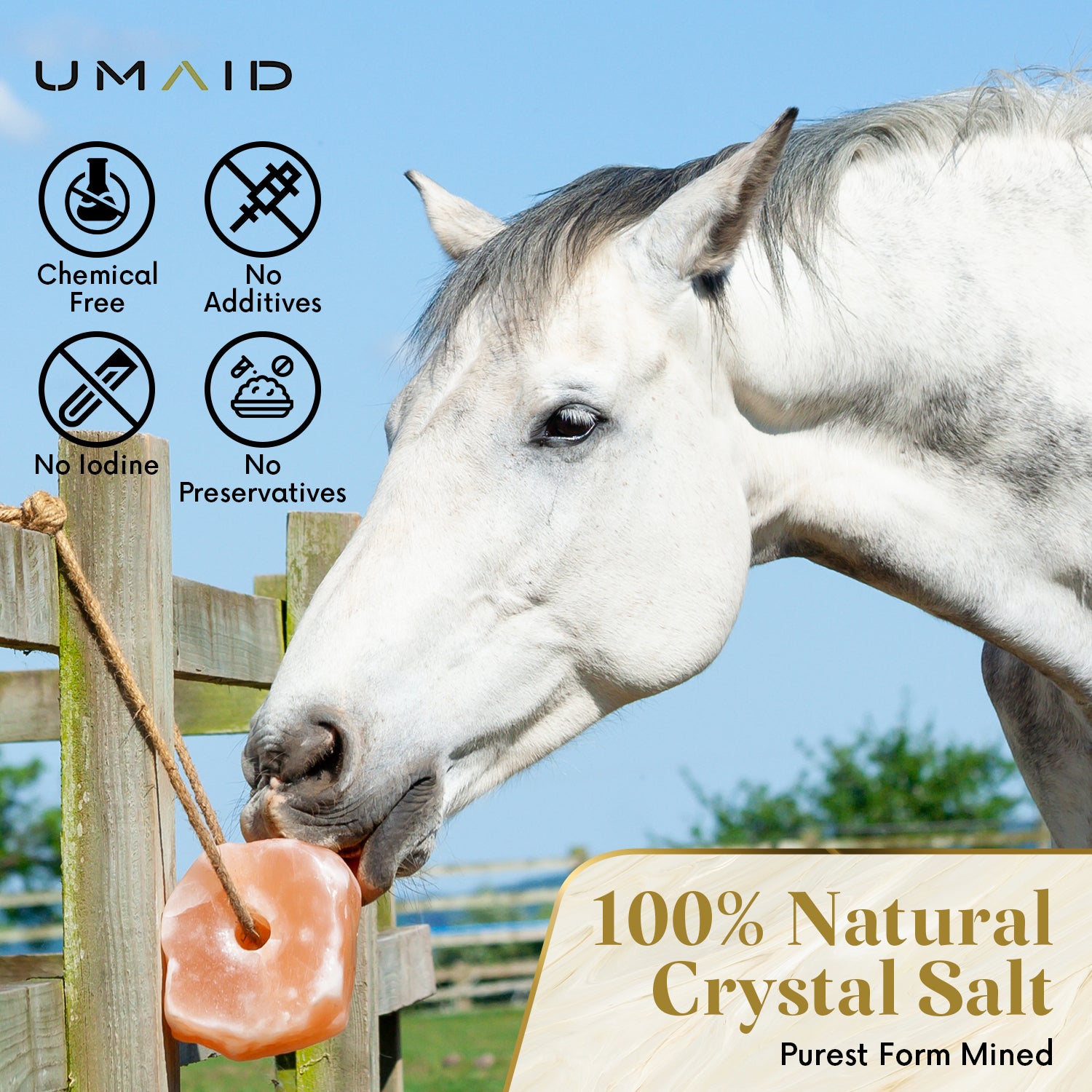 Himalayan Animal Lick Salt On Corde pour Horses, Deer, et Livestock