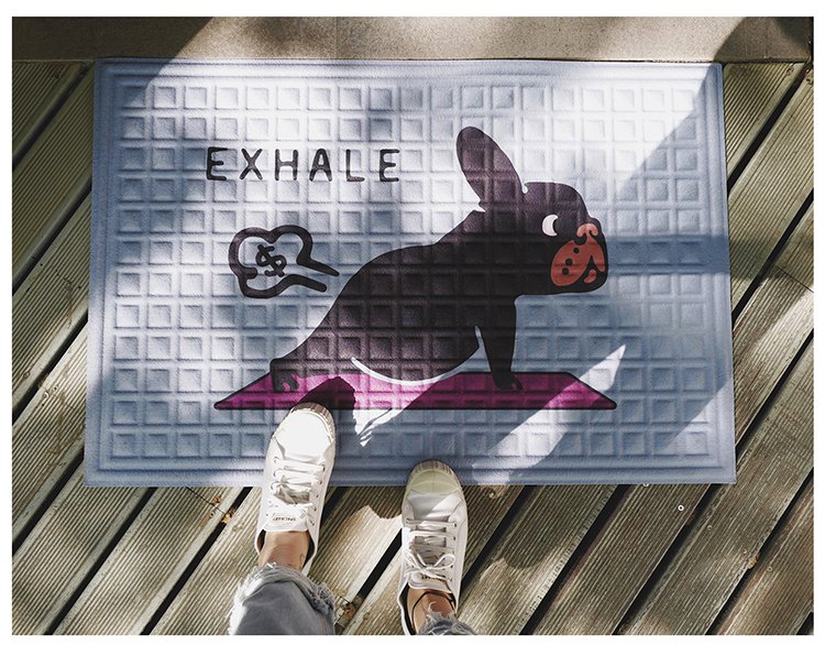 Tapis de Porte pour Chiens
