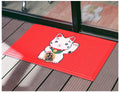 Tapis d'entrée pour chat